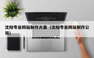 内蒙古沈阳专业网站制作方案（沈阳专业网站制作公司）